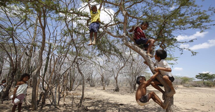 Como Fátima, la mayoría de los indígenas wayúu en Colombia viven en la pobreza. La Guajira tiene la tasa de desnutrición más alta en Colombia, con 11%, según la Defensoría del Pueblo.