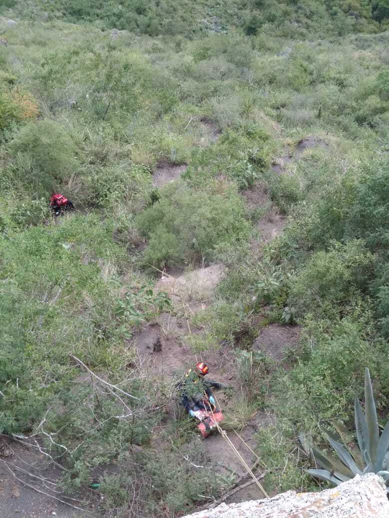 WhatsApp Image 2021-08-09 at 07.38.36 (1).jpeg