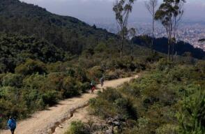 Reabren famoso sendero La Serranía en los cerros orientales de Bogotá: ofrecen recorrido guiado