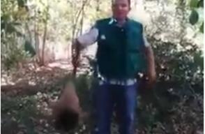 277115_Foto: Captura video