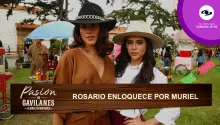 Rosario enloquece con la relación de Muriel y Juan David en Pasión de Gavilanes.
