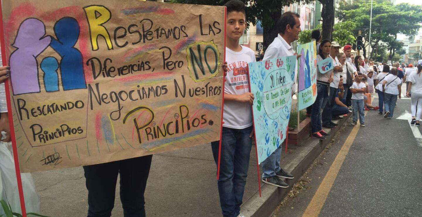 247032_Foto marcha Bucaramanga BLU