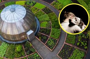 ¿Puedo ingresar con mi mascota al Jardín Botánico?
