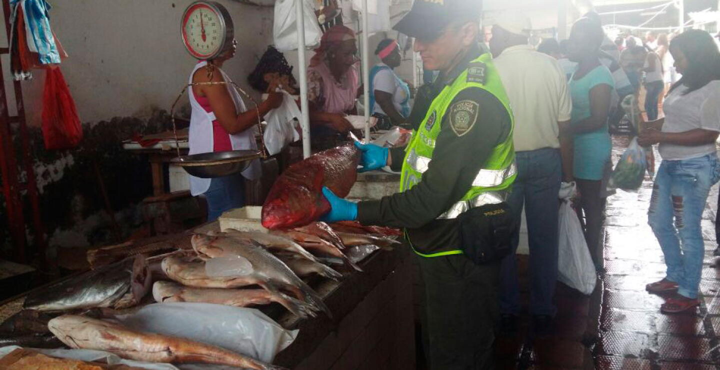 Para productos de la pesca, el Invima recomienda comprar en establecimientos confiables y que tengan condiciones higiénicas apropiadas. Verifique que el producto no presente aspecto desagradable, deformaciones, mutilaciones o signos de descomposición.