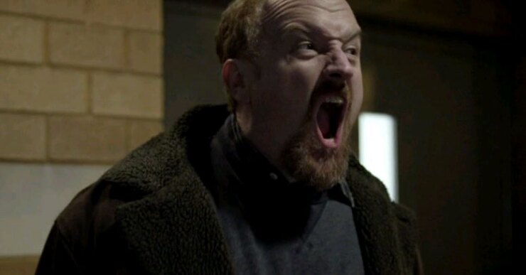 Louie, tiene posibilidades en cinco categorías: mejor comedia, mejor actor principal en comedia, mejor actriz invitada en comedia, mejor dirección en comedia y mejor guión de comedia.