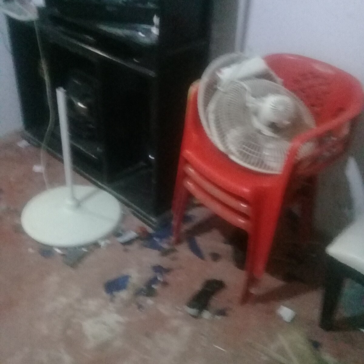 daños.jpeg