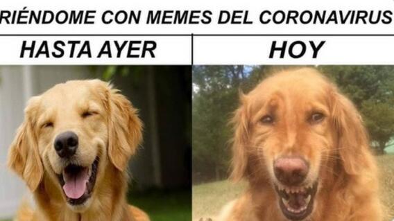 21376_Memes del coronavirus - Foto Twitter 21376_Memes del coronavirus - Foto Twitter