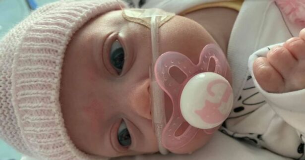 Bebé prematura Mirren Coook vivió contra todo pronóstico
