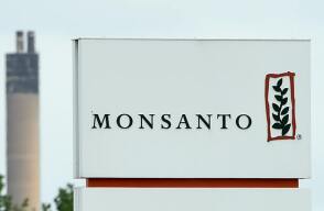 monsanto_0.jpg