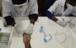 372037_Test coronavirus. Foto: AFP