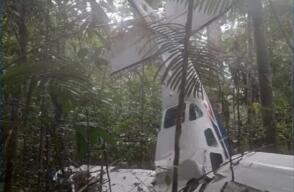 Aparecieron vivos los cuatro niños que iban en avioneta accidentada en Caquetá 