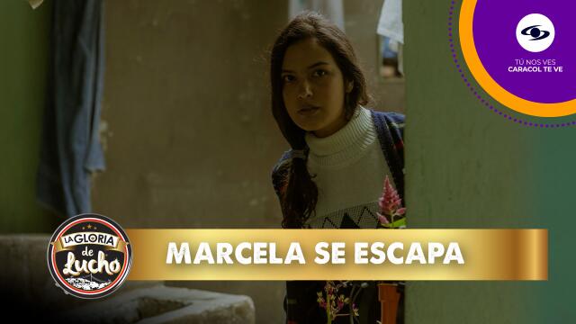 Marcela decide escaparse de la casa e irse con su novio en La Gloria de Lucho. Marcela decide escaparse de la casa e irse con su novio en La Gloria de Lucho.