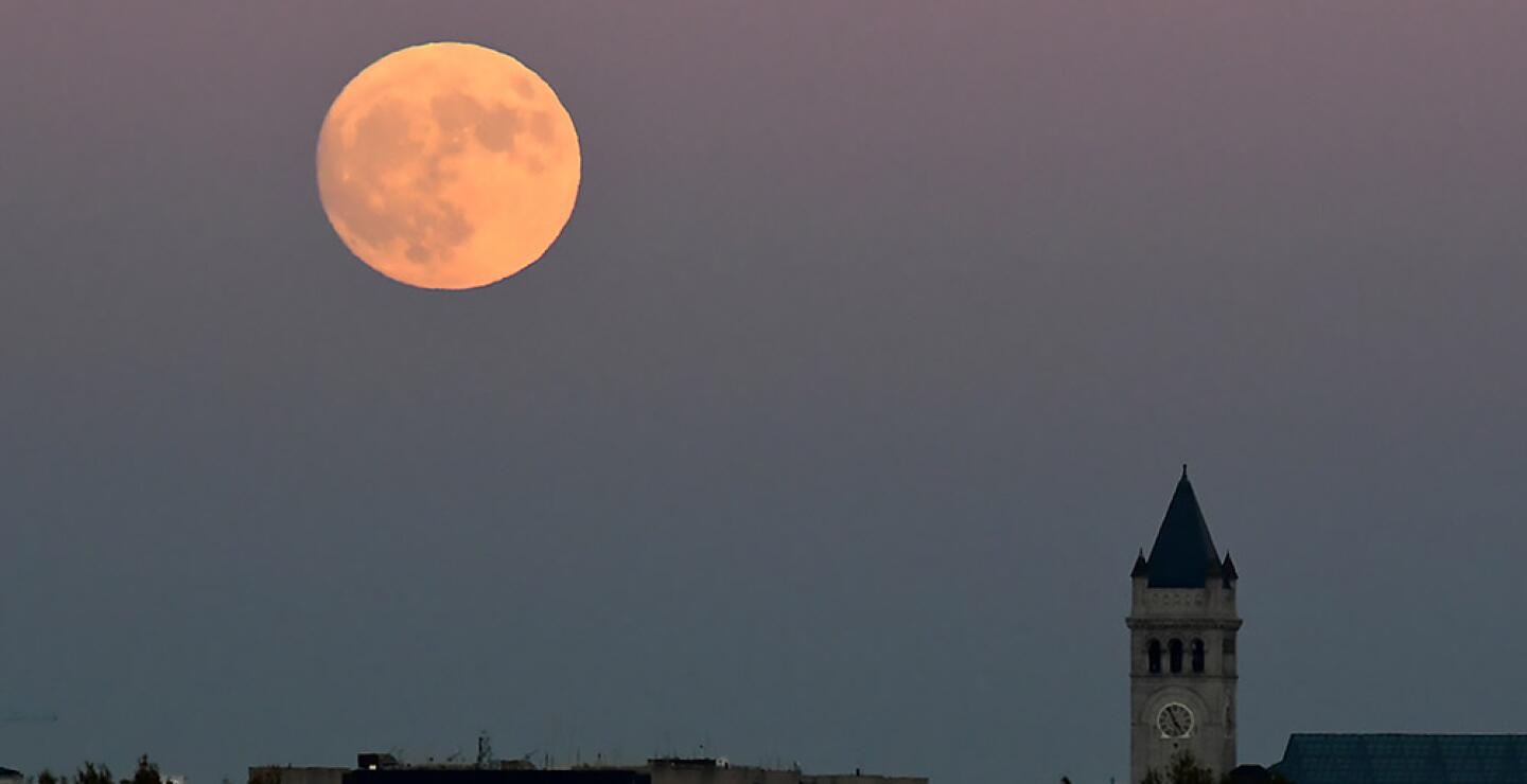 273220_Foto: AFP