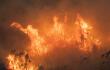 24168_Incendios en Australia // FOTO: AFP