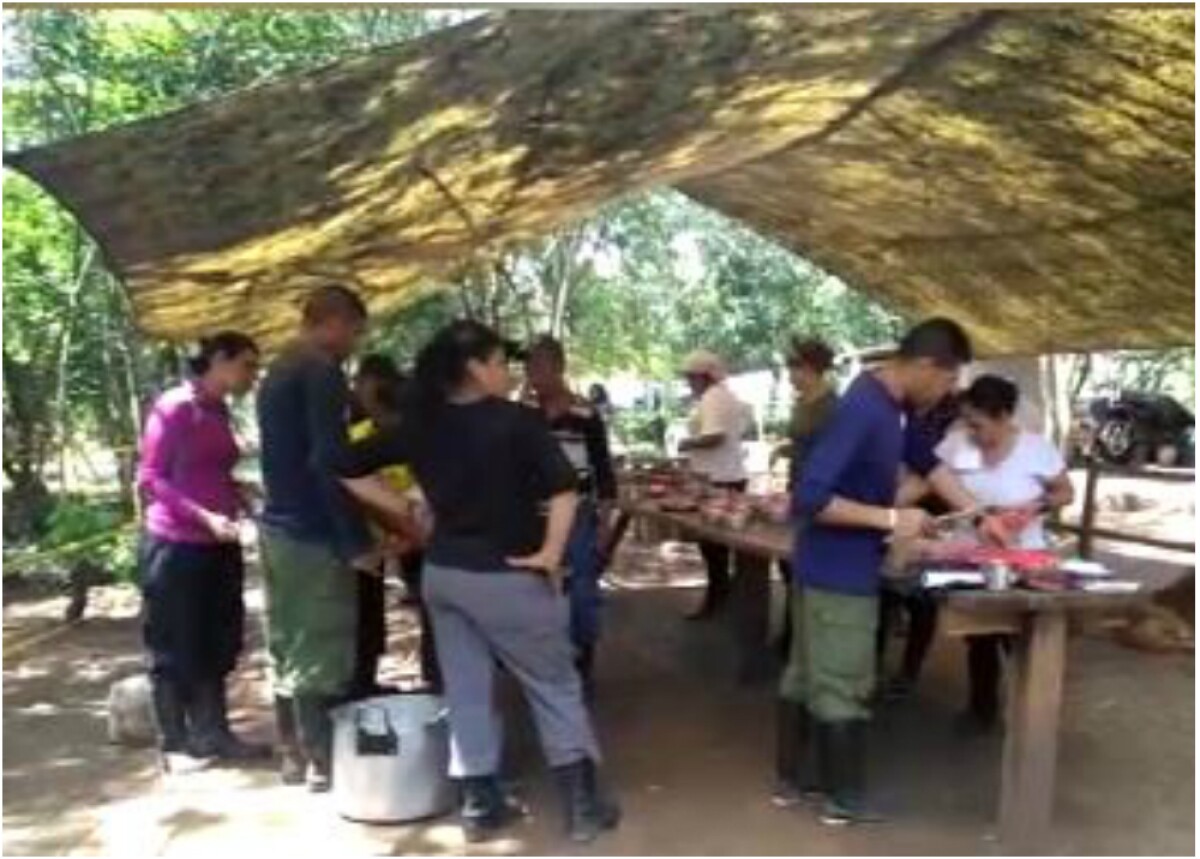 274534_Foto: Captura video