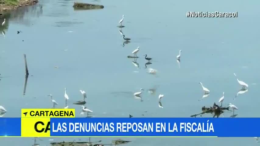 Construcción de casas sobre el agua tiene en peligro al caño Juan Angola de Cartagena