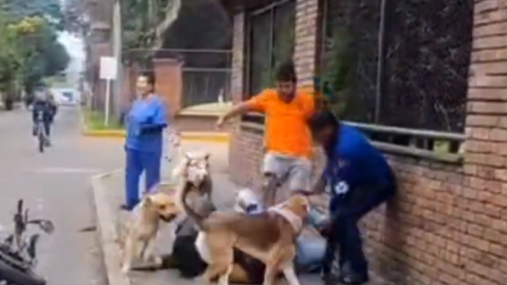 Durante robo en Bogotá, tres hombres acompañados por tres perros atacaron a un aparente ladrón