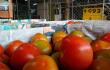 tomates.jpg