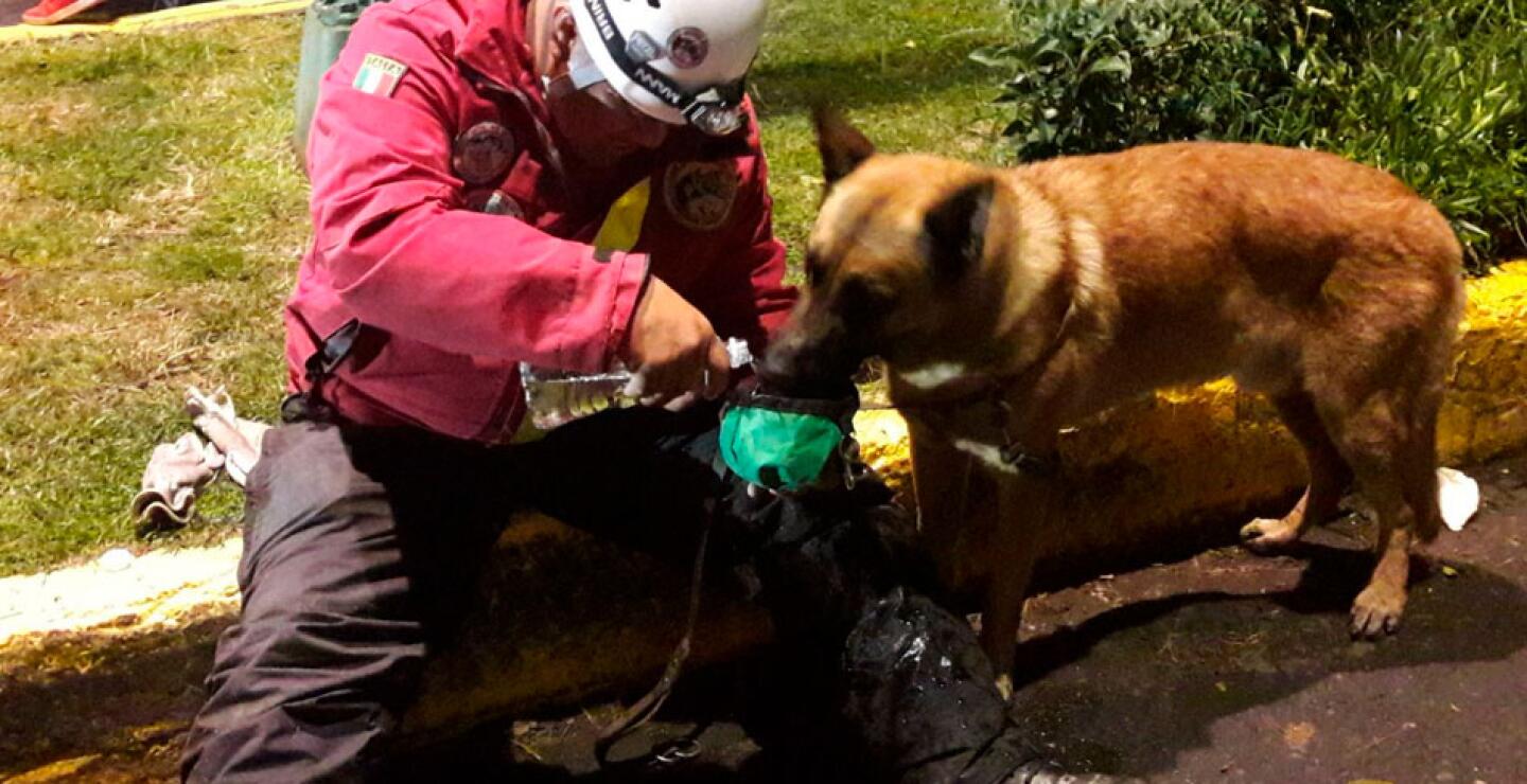 El cansancio y el hambre también afectan a los rescatistas caninos.