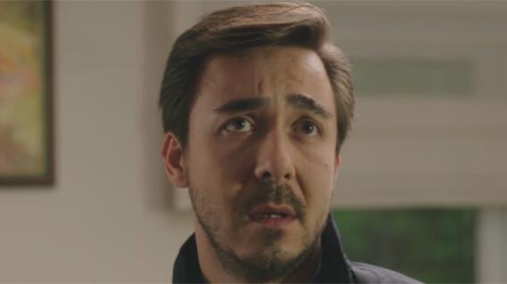 323009_alas_de_amor2.jpg