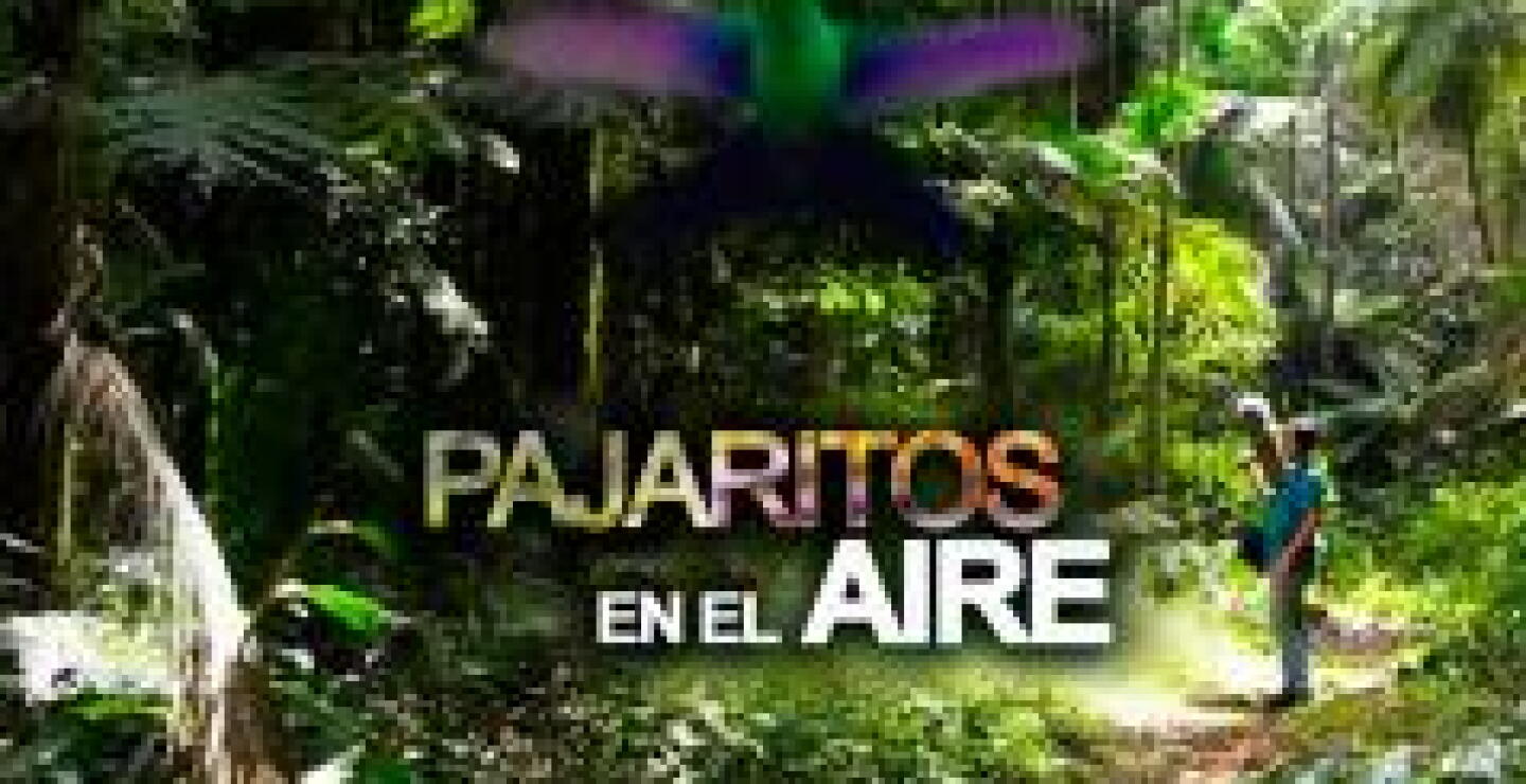 300153_img_informantes_160965.jpg