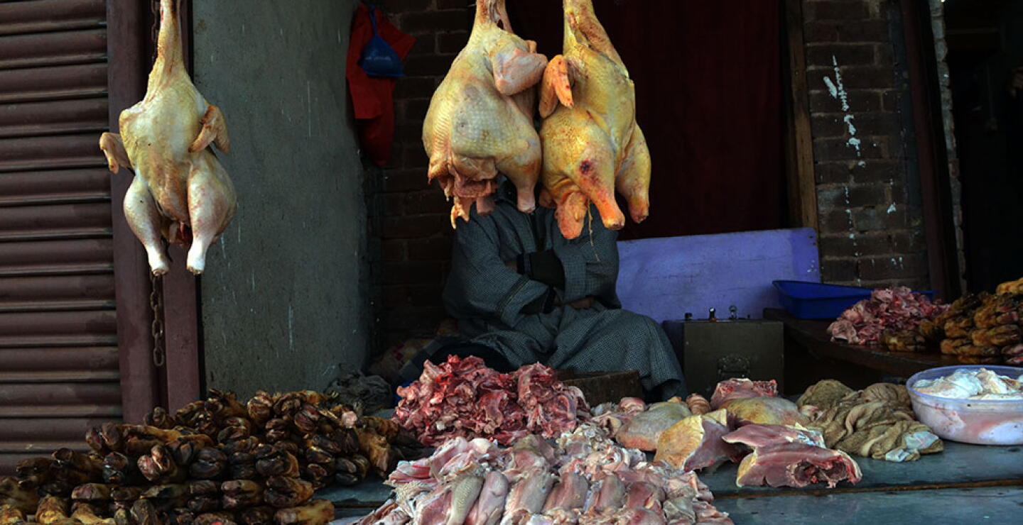 322058_Blu Radio // Pollos // Foto: AFP