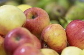 358819_alimentos_1.jpg
