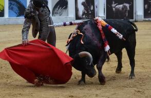 corridasdetoros.jpg