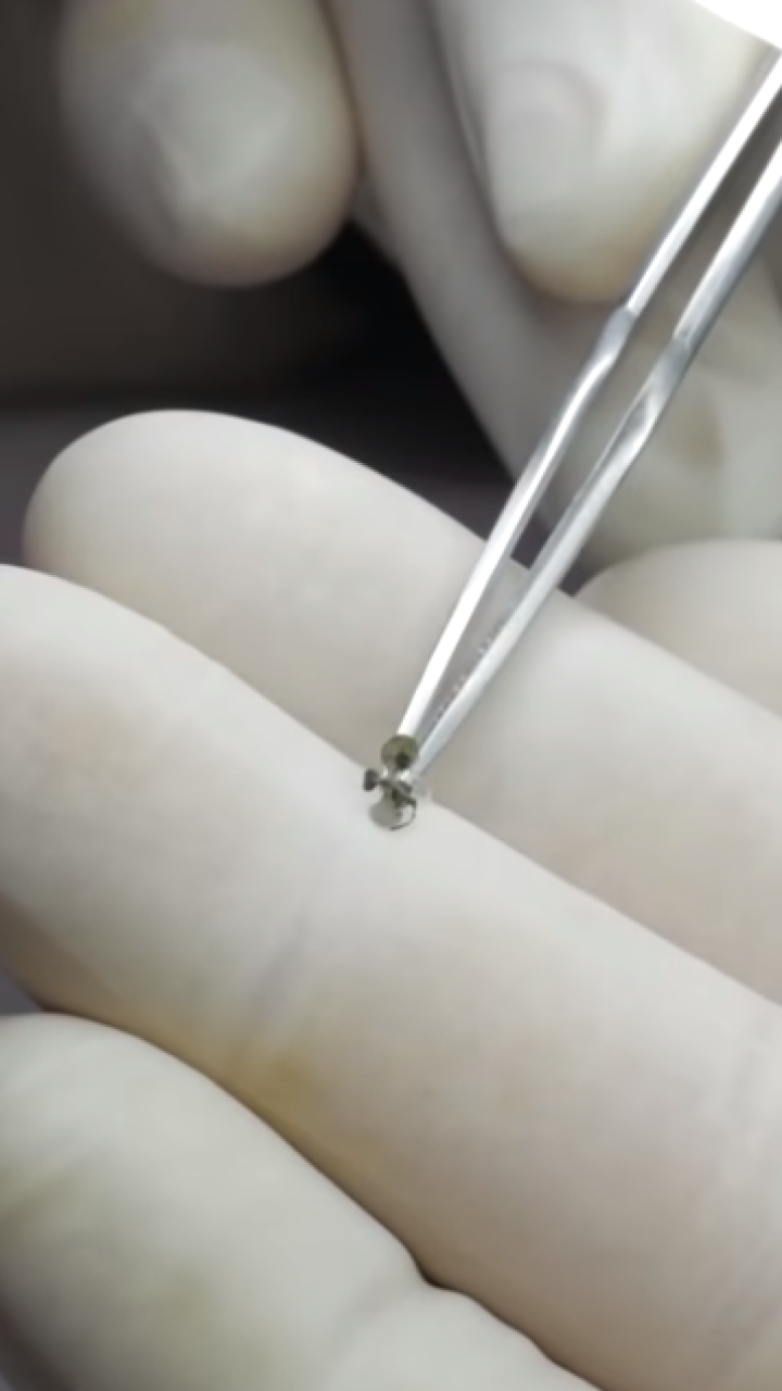 Científicos logran cultivar plantas en suelo lunar