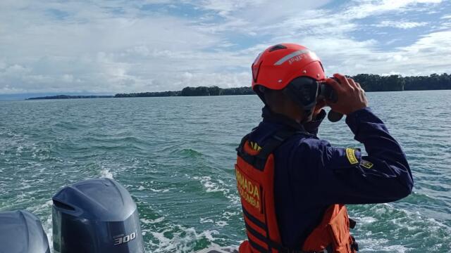 incuatación de tiburones mutilados incuatación de tiburones mutilados