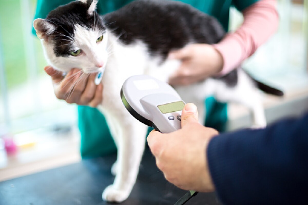 Microchip