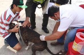 281664_Blu Radio / Suplantan a funcionarios de Zoonosis con falsas jornadas de vacunación en Cali. Foto: Referencia.