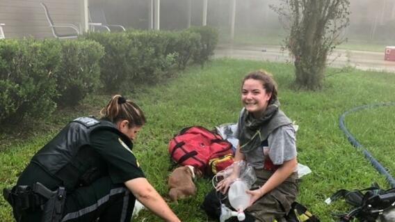 Los tres cachorros resultaron ilesos tras la conflagración, sin embargo, continúan siendo revisados en un centro veterinario. Los tres cachorros resultaron ilesos tras la conflagración, sin embargo, continúan siendo revisados en un centro veterinario.