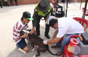 279891_BLU Radio // Vacunación de mascotas //Foto: Alcaldía de Bucaramanga