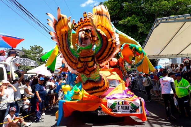 060119-desfile-reyes-popayan.jpg