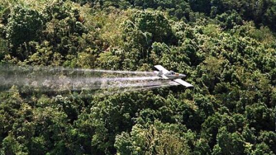 Fumigación con glifosato / AFP Fumigación con glifosato / AFP