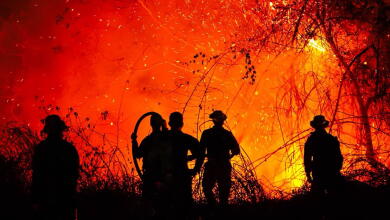 Se mantiene alarma en Tolima por incendios activos: gobernadora interpuso denuncia ante la Fiscalía