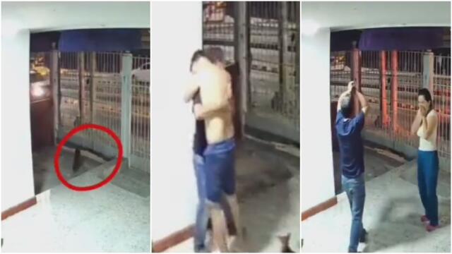 Perro perdido regresa a su casa, en Barranquilla, y causa conmovedora reacción de su familia Perro perdido regresa a su casa, en Barranquilla, y causa conmovedora reacción de su familia