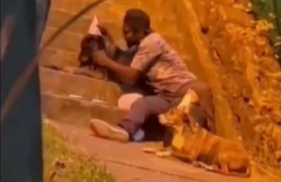 Habitante de calle le celebró el cumpleaños a sus dos perros