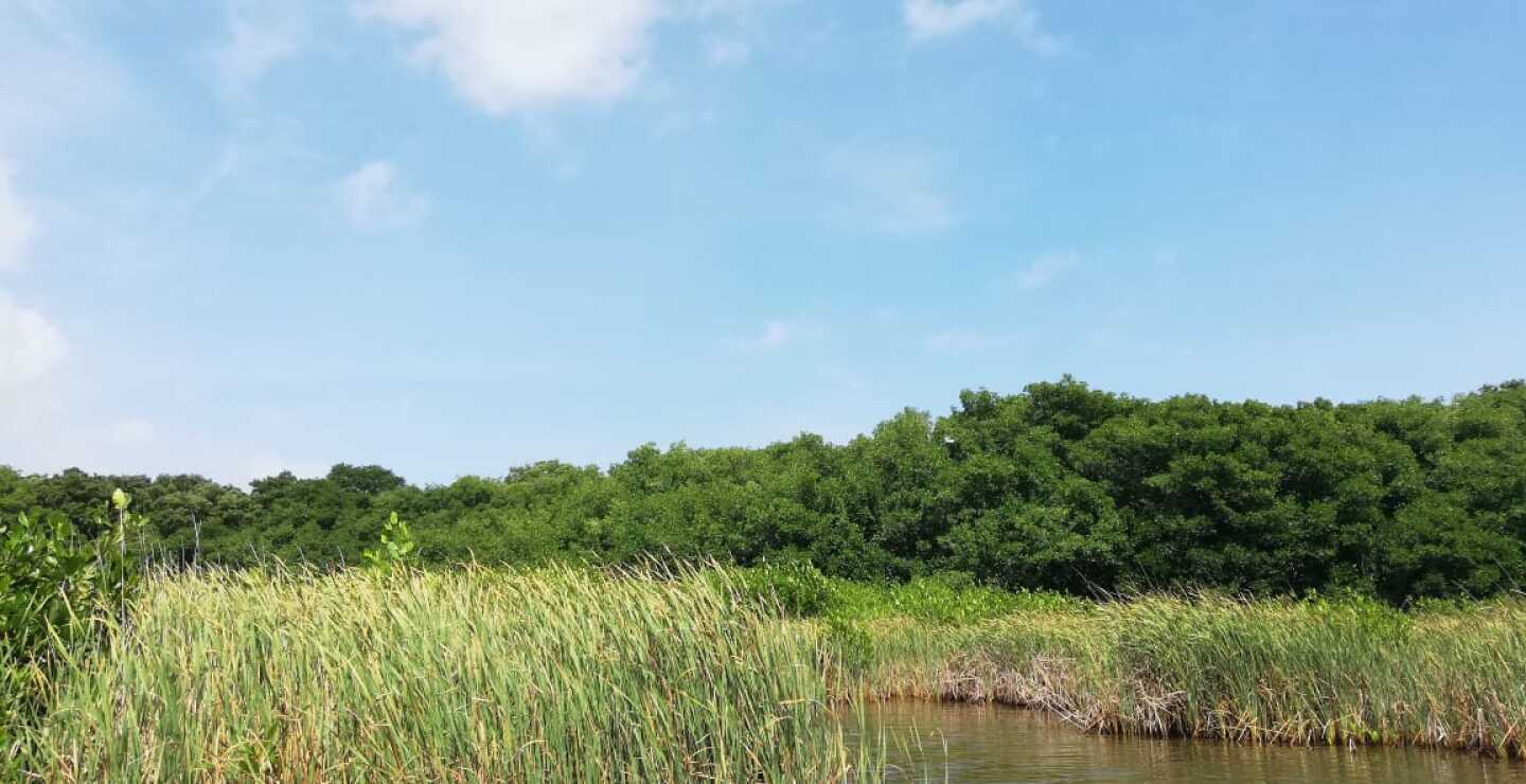 343042_Blu Radio/ Parque Isla de Salamanca / Foto: BLU Radio