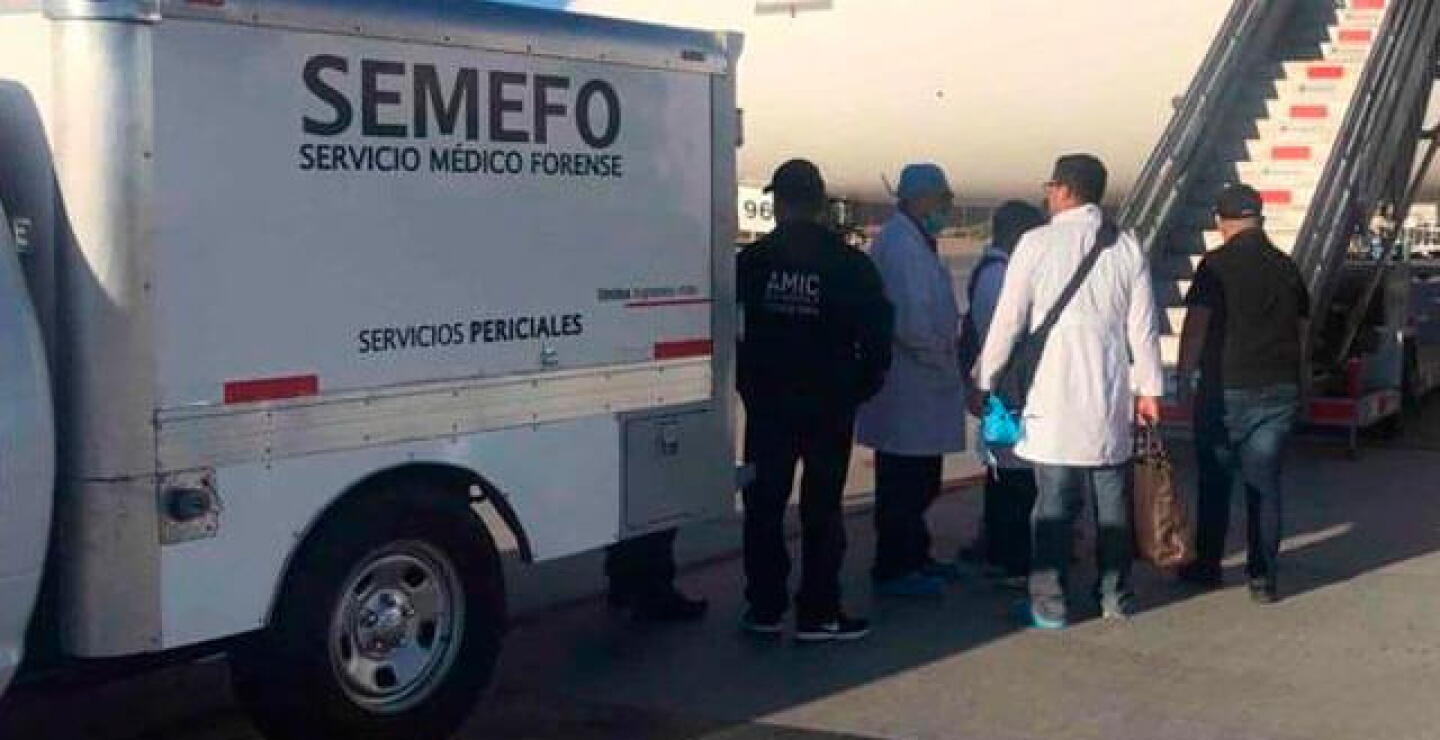 japonesmula.jpg