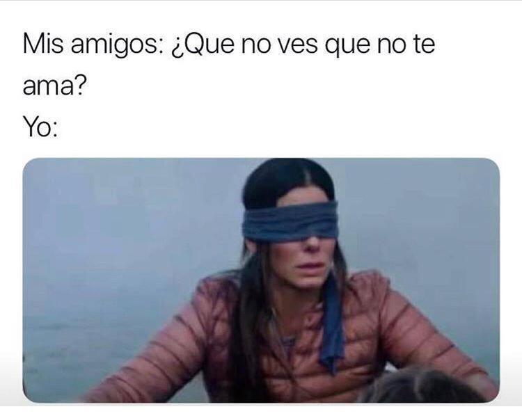 20195_birdbox_meme.jpeg