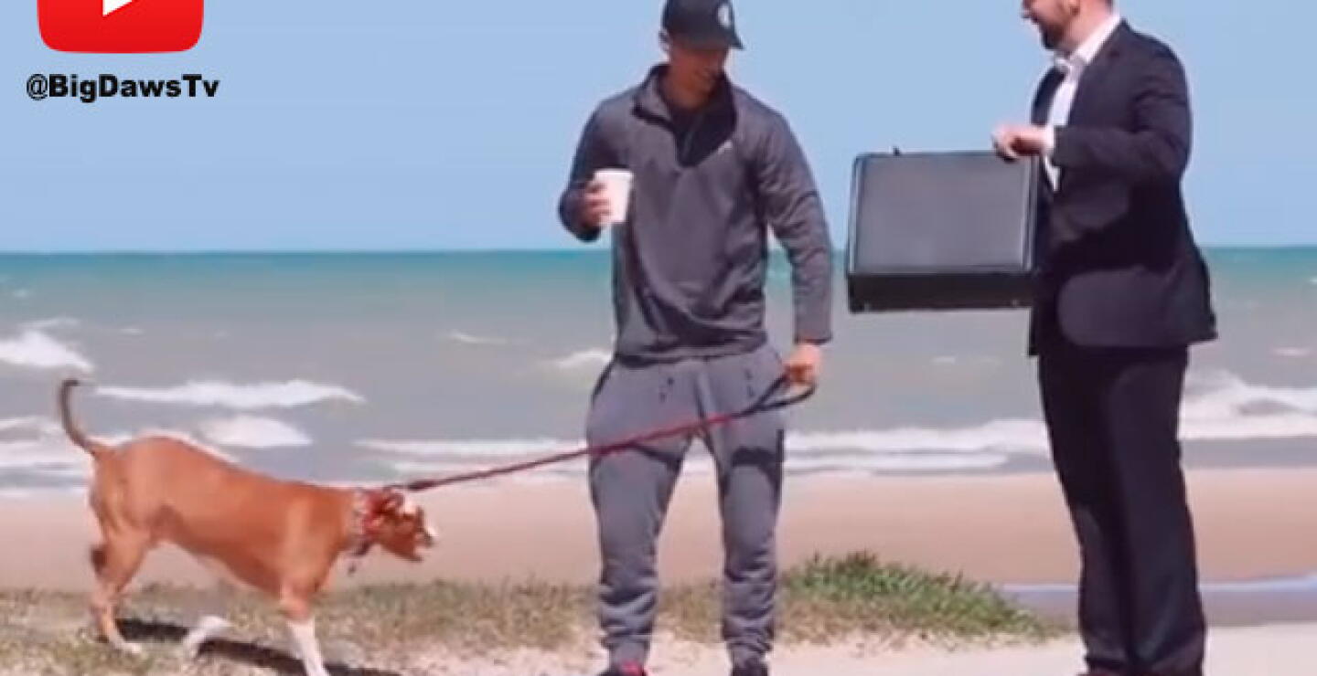 caninos-precio.jpg