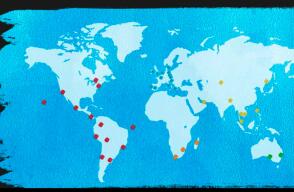 285287_Foto:WORLD LIFE EXPERIENCE