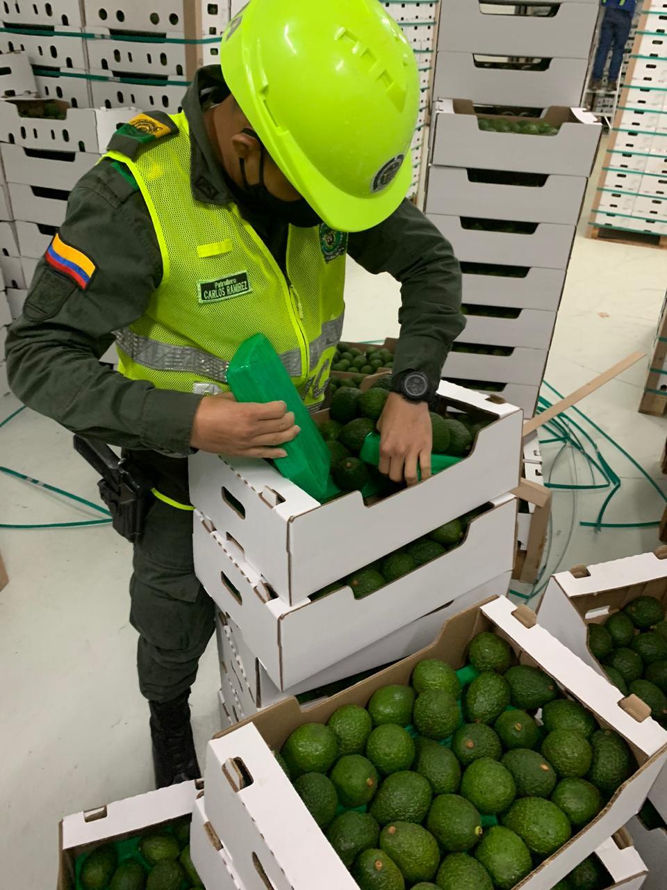 Cocaína camuflada en cargamento de aguacates (2).jpeg