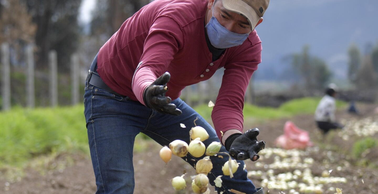 360976_agro_-_afp.jpg
