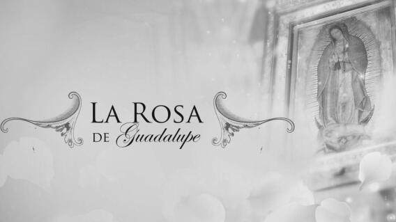 Luis Alberto Riolobos perdió la vida a sus 64 años
