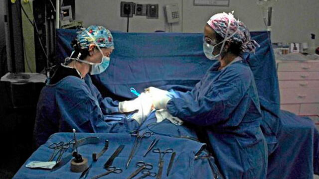 No se aplazarán cirugías vitales durante el aislamiento preventivo  