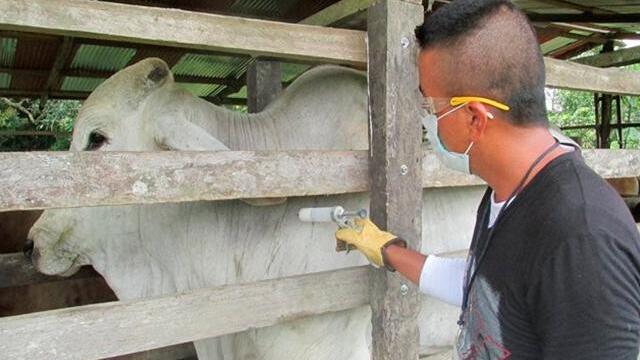 Colombia inició ofensiva para dar tranquilidad a países que compran carne tras brote de aftosa