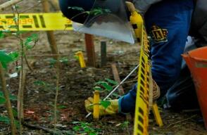 Imagen de referencia / Colprensa